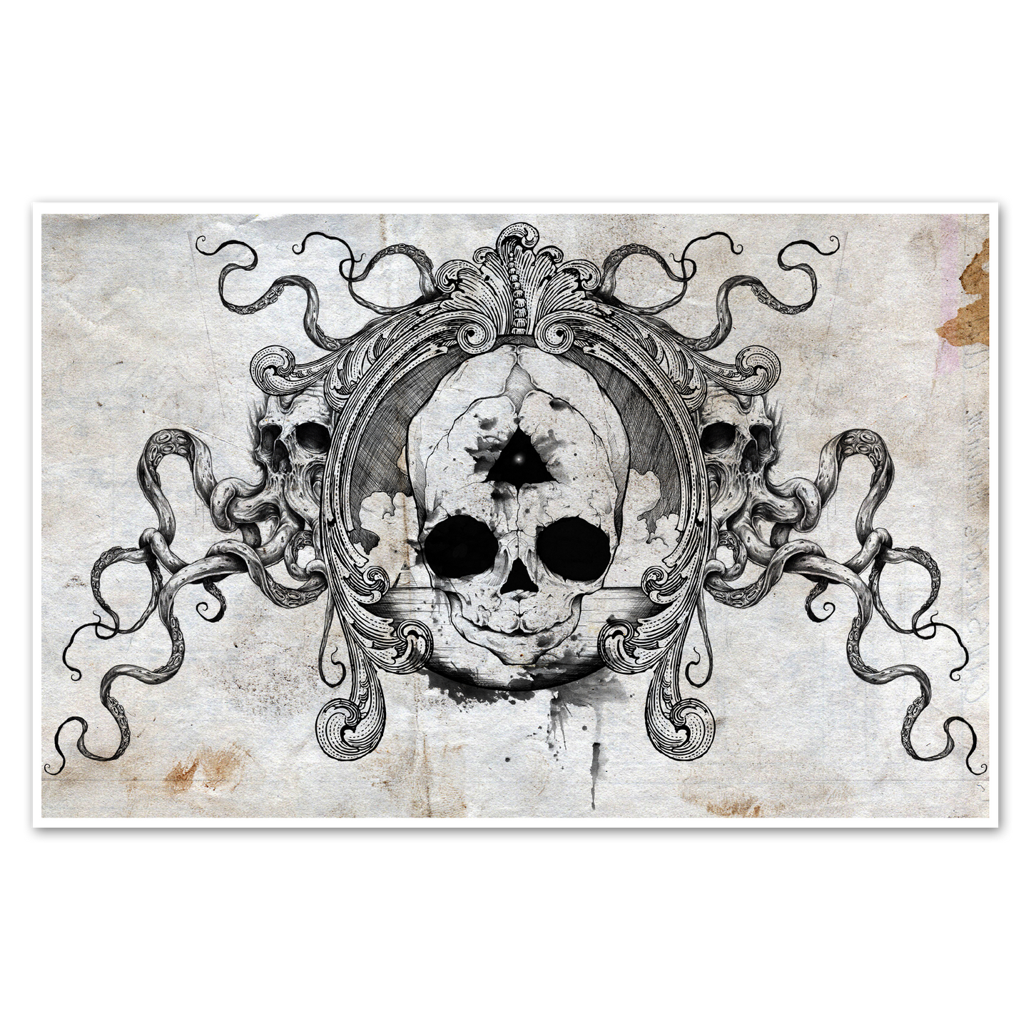Fetal Skull Print