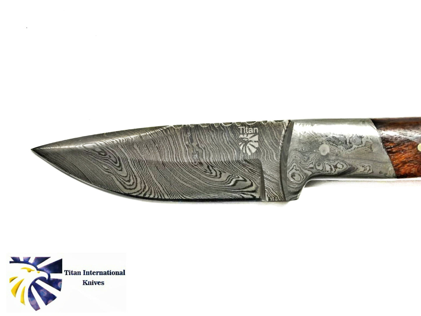 DAMASCUS KNIFE/ TITAN/ CAMP/ HUNTING KNIFE / Walnut TD-191