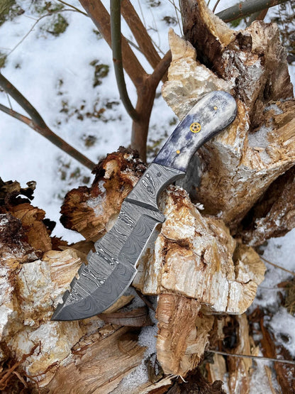 Damascus Steel Handmade Tom Brown Tracker Knife with Color Bone and Damascus Bolster Handle - 12 Inches Overall Length