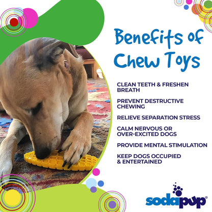 Corn on the Cob Nylon Dog Toy for Aggressive Chewers | USA Made | SodaPup