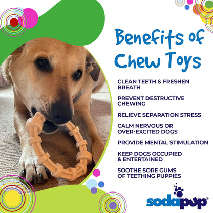 Chicken Flavored Teething Ring for Puppies & Aggressive Chewers | USA Made