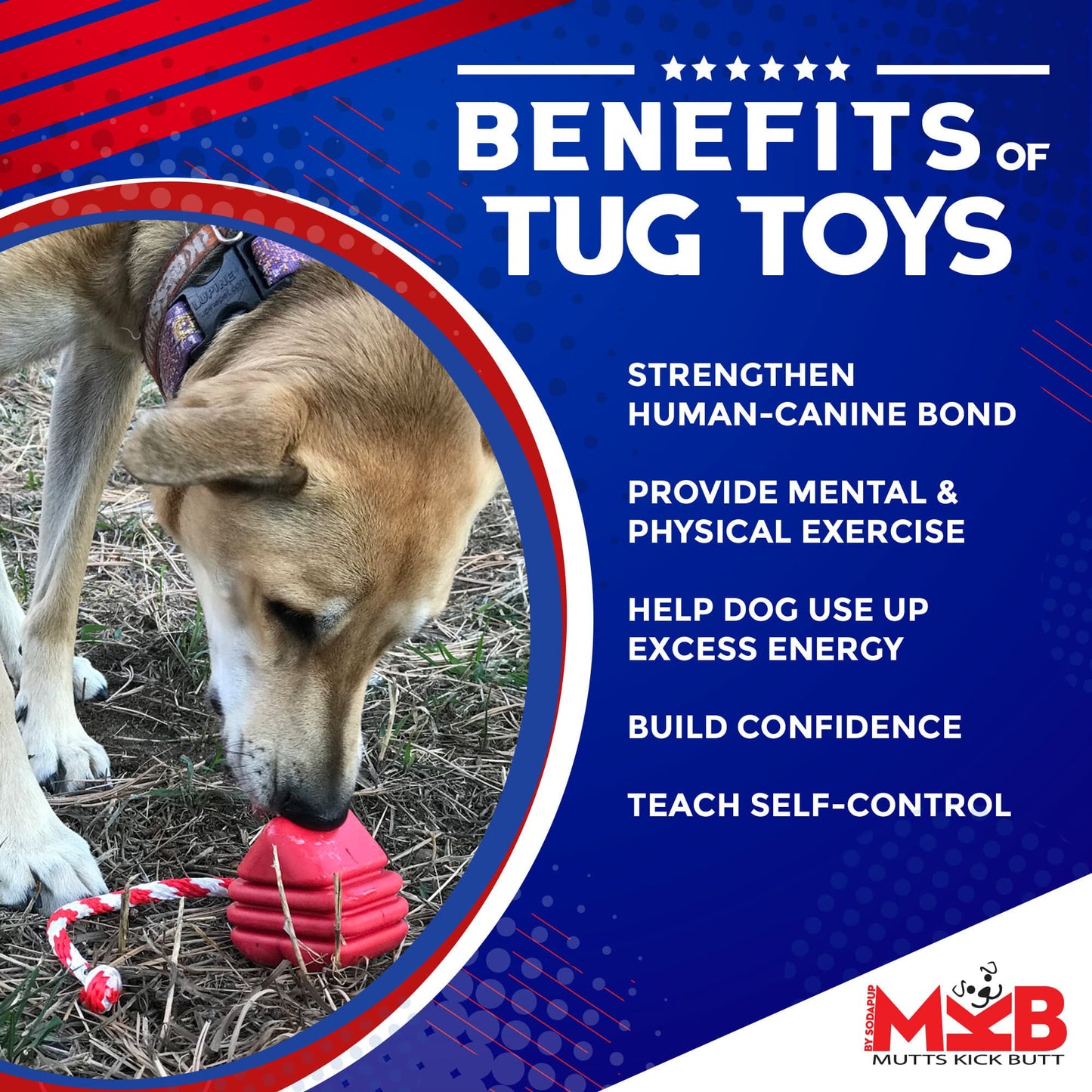 Heart on a String Dog Toy - Durable Rubber Tug Toy for Large Dogs | USA Made