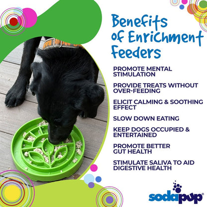 Garden Design eTray - Shallow Slow Feeder Dog Bowl for Enrichment | USA