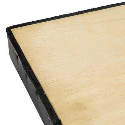 PROFESSIONAL HOME PLATE