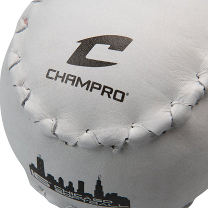 16" CHICAGO SOFTBALL