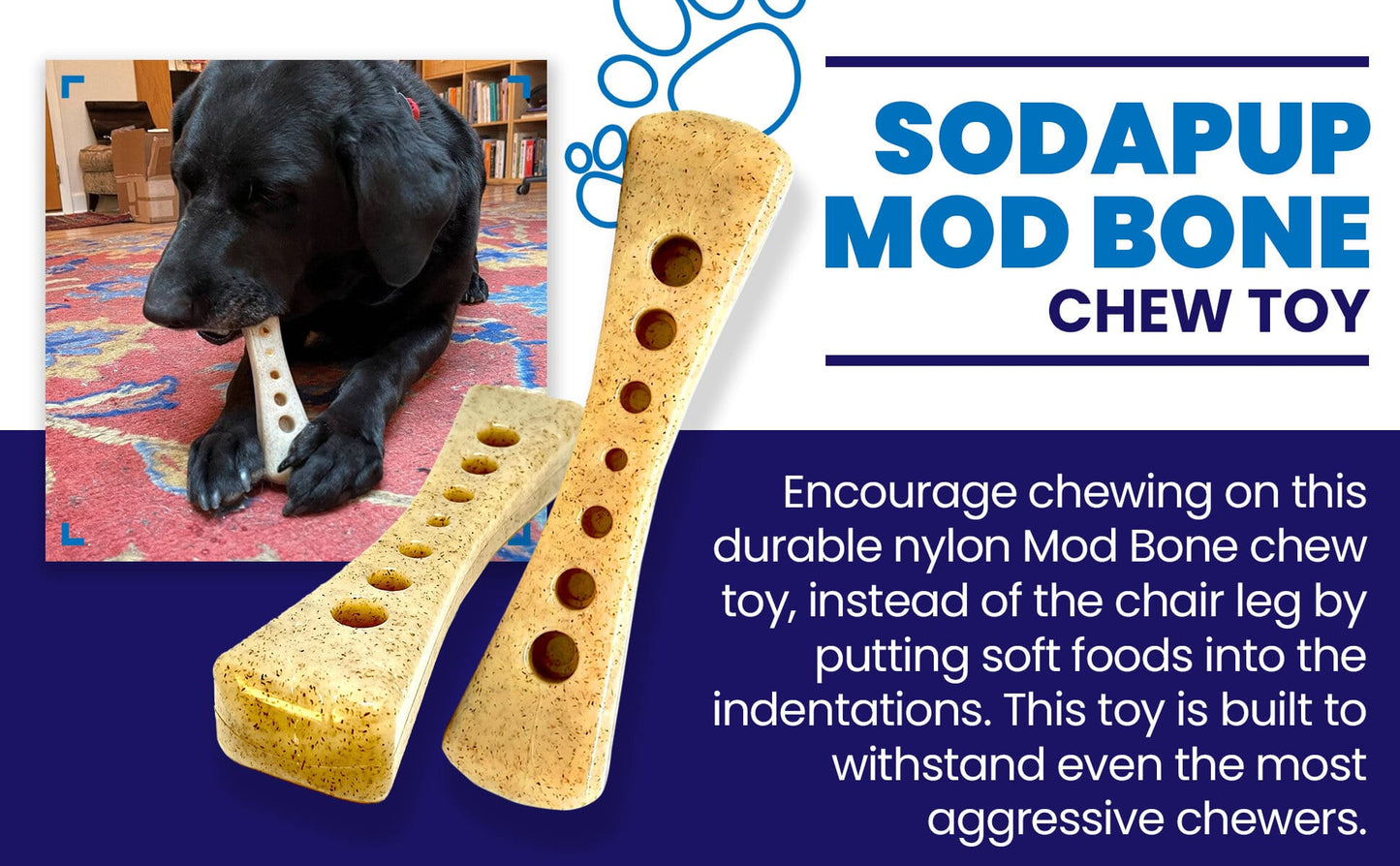 MOD Bone Nylon Dog Chew Toy for Aggressive Chewers | USA Made