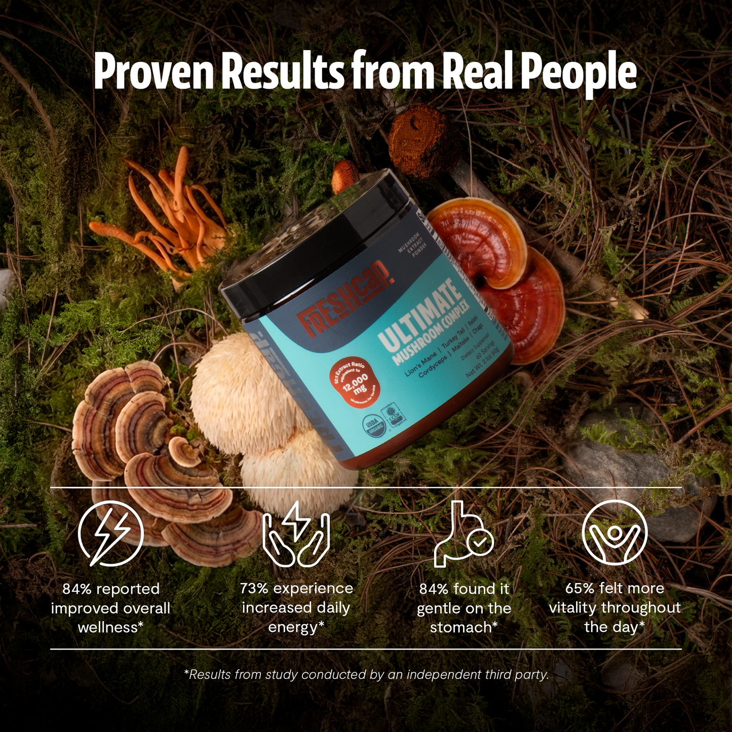 Organic Mushroom Extract Powder Blend