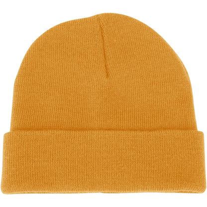 POLAR CUFF BEANIE
