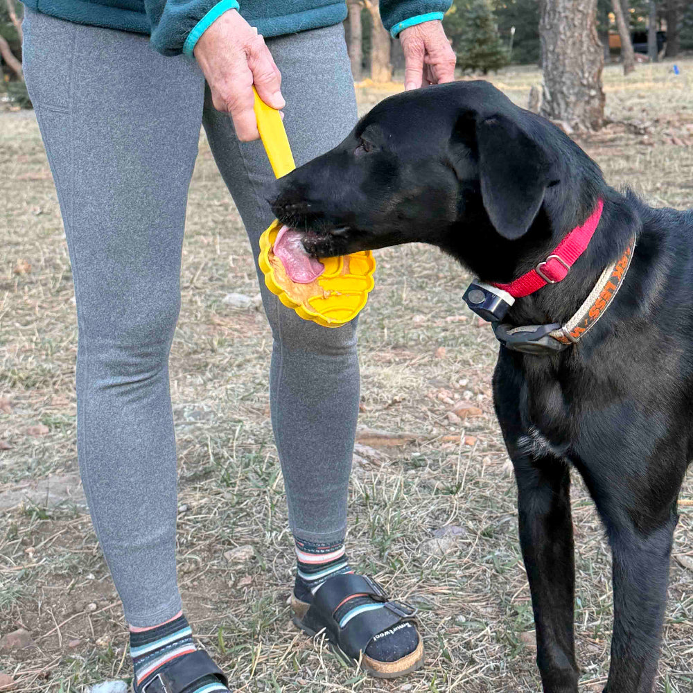 eStick Hand-Held Dog Enrichment Toy - Interactive Lick Stick | USA Made