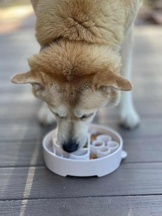 Java eBowl Deep Slow Feeder Dog Bowl for Enrichment | USA Made