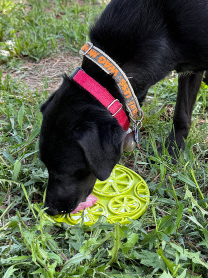 Citrus Design eMat - Enrichment Lick Mat For Dogs and Cats - with Suction Cups | USA Made