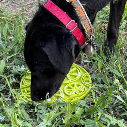 Citrus Design eMat - Enrichment Lick Mat For Dogs and Cats - with Suction Cups | USA Made