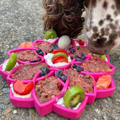 Mandala eTray Shallow Slow Feeder Dog Bowl for Enrichment | USA Made