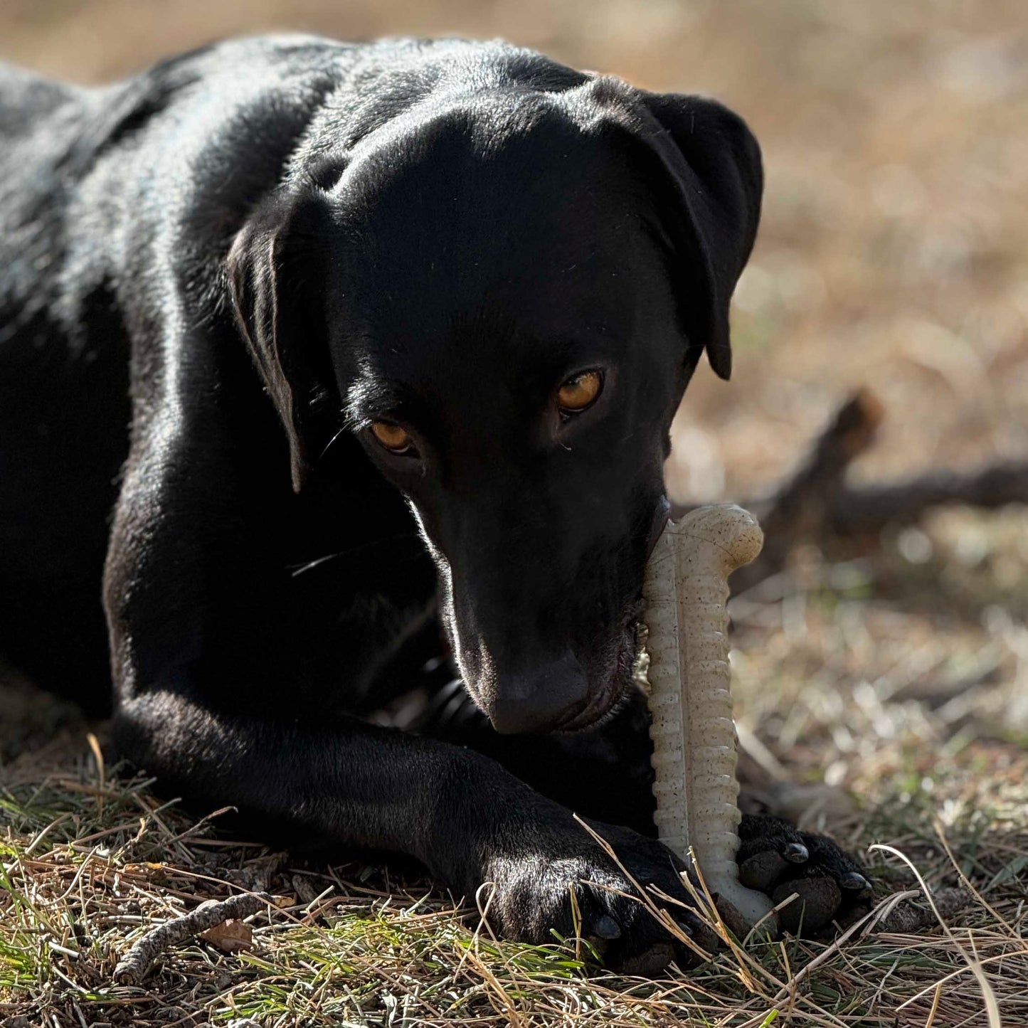 Tough Bone Nylon Chew Bone | Ultra-Durable Dog Toy for Aggressive Chewers | SodaPup