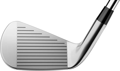Titleist 4G T250 Irons w/ Steel Shafts