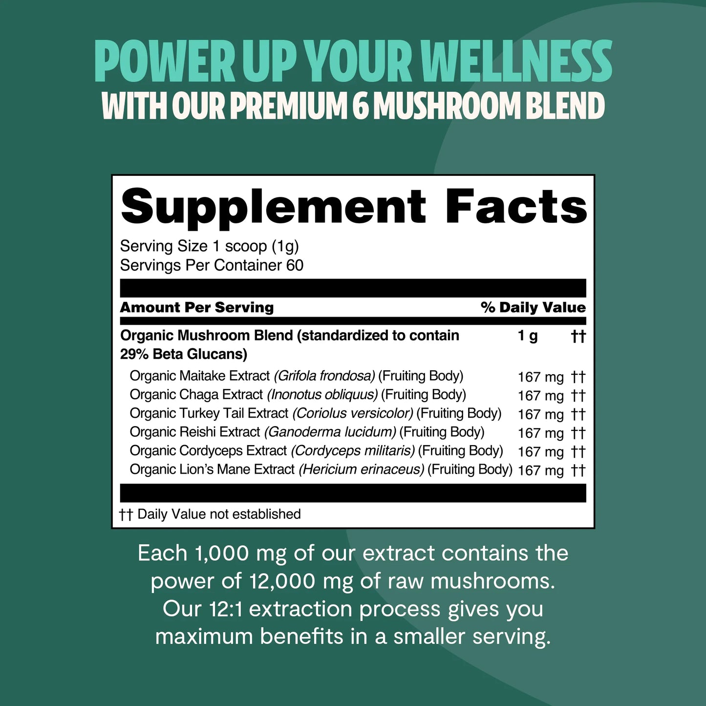 Organic Mushroom Extract Powder Blend