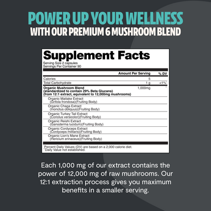 Organic Mushroom Complex Supplement Capsules