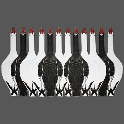 Top Down Decoys® SBS1 Specklebelly-Snow