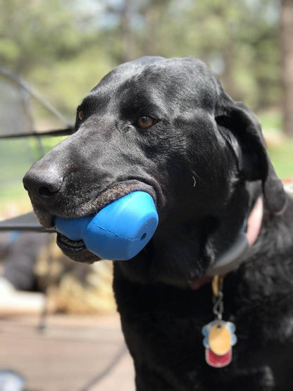 Double Trouble Dog Toy - Dual Chamber Treat Dispenser for Large Dogs | USA Made