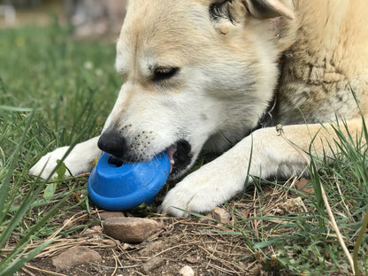 Flying Saucer Dog Toy - Durable UFO Chew Toy & Treat Dispenser | USA Made