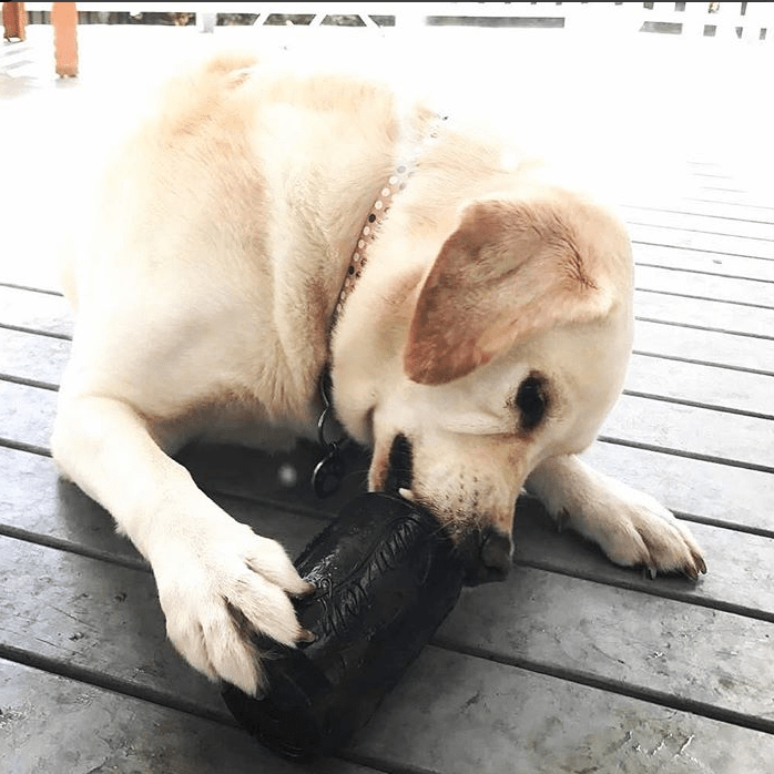 Magnum Can Toy Rubber Dog Chew Toy for Extreme  Chewers | Treat Dispenser | USA Made