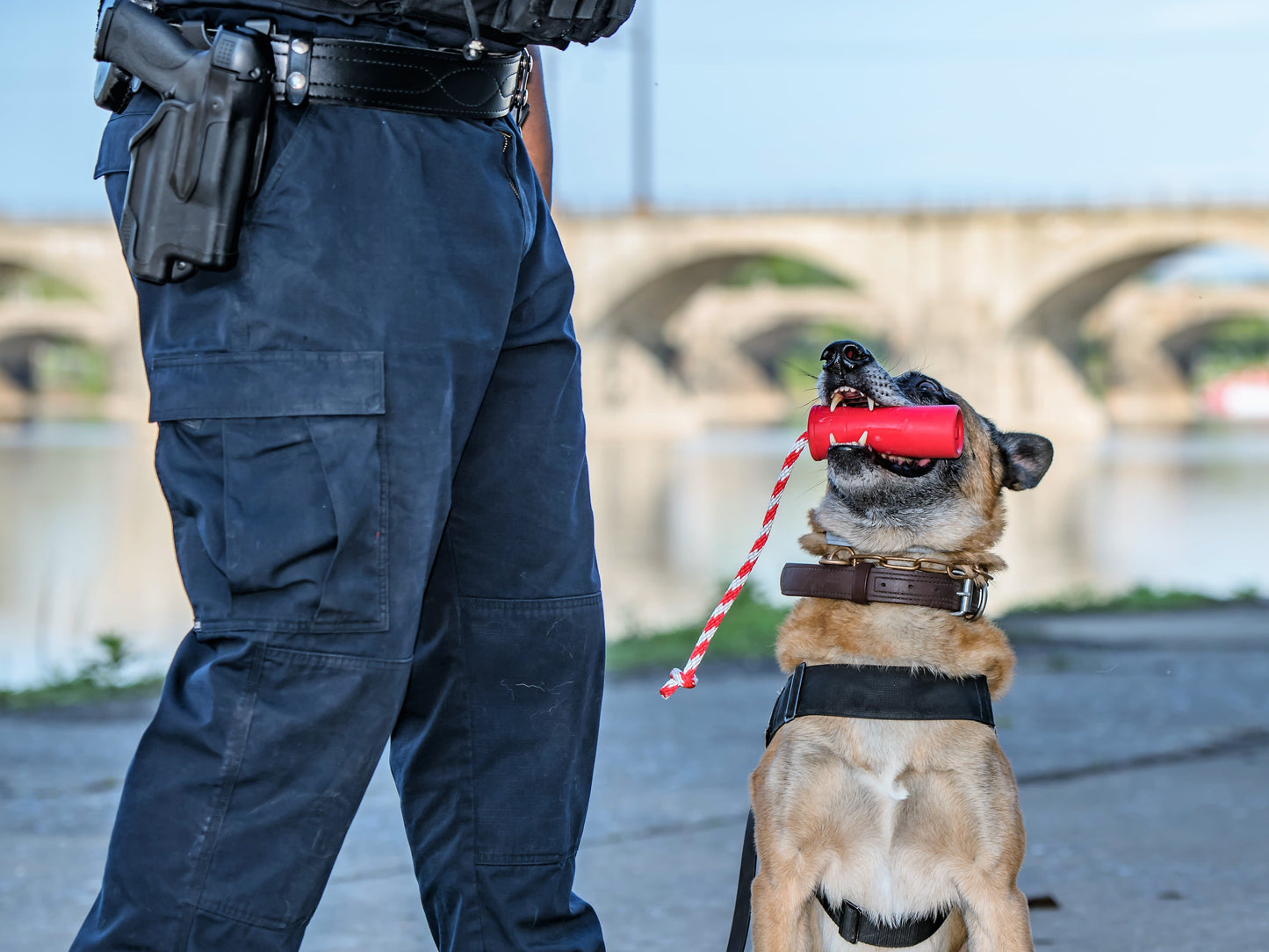 USA-K9 Firecracker Floating Training Dummy | K9 Handler Reward Toy | Red | USA Made